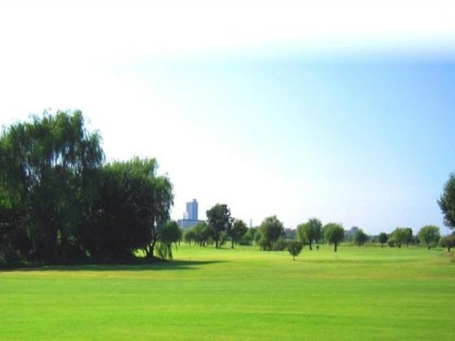 ����s���ԃS���t��