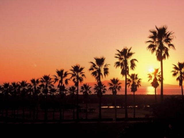 �[�B�J���g���[�N���u