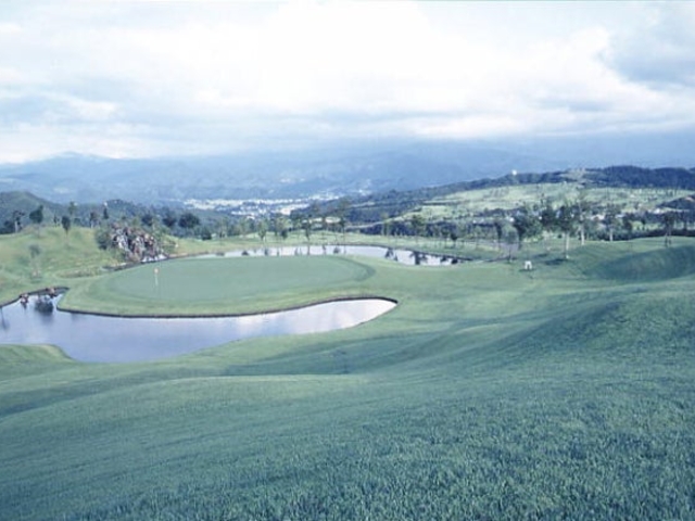 �z��S���t��y��