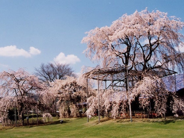 ������J���g���[�N���u�̎ʐ^1