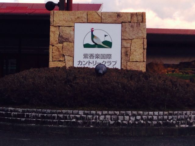 ���[�Y�S���t�N���u