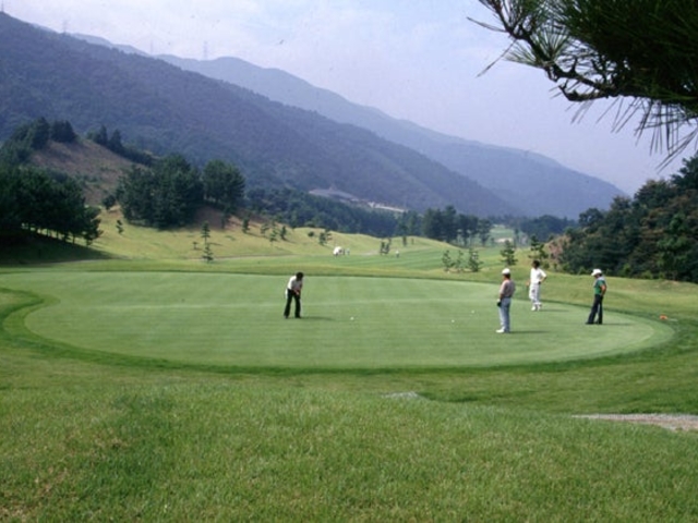 �V���l�J���g���[��y���̎ʐ^1