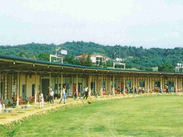 �s�m�΃S���t��̎ʐ^1