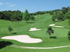 �����l�J���g���[��y���̎ʐ^1