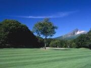 ������C�N�S���t�N���u�̎ʐ^3