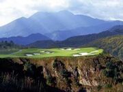 �{�i�������S���t�N���u�̎ʐ^1