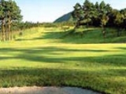 ���R�S���t��y���̎ʐ^1