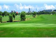 ����s���ԃS���t��̎ʐ^2