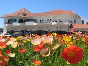 �[�B�J���g���[�N���u�̎ʐ^2