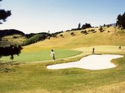 �R�X���N���V�b�N�N���u�̎ʐ^1