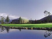 �s�S���t��y���̎ʐ^1