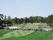 �R�̌��S���t�N���u�̎ʐ^1