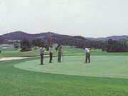 �k�R�J���g���[��y���̎ʐ^1