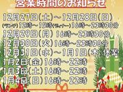 �ē� ���p �V���l�X�̎ʐ^1