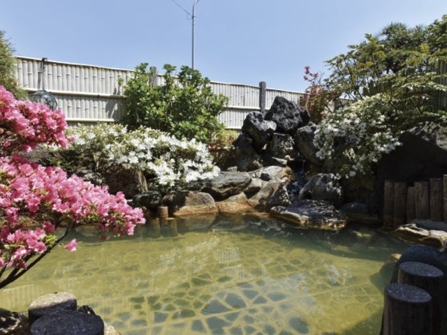 ��������i���򗷊َ��̓��j_��������