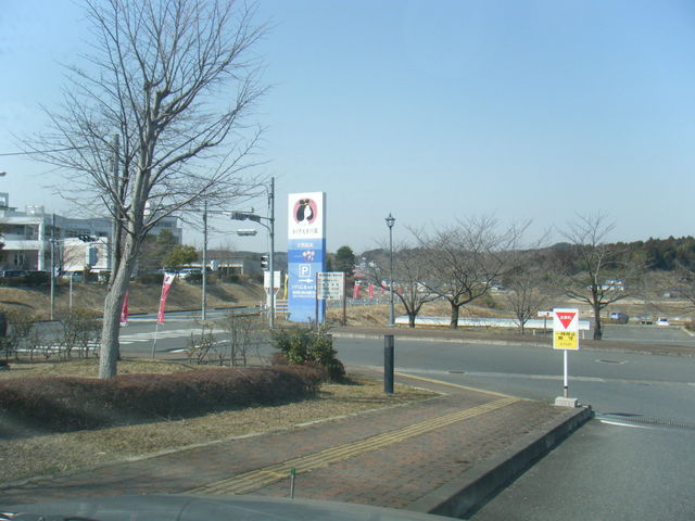 �킭��V���̓�