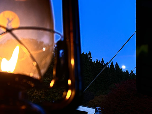 ��̓����^���Ō��z�I_���}�m�T�E�i