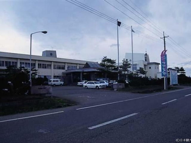 ��������_��������