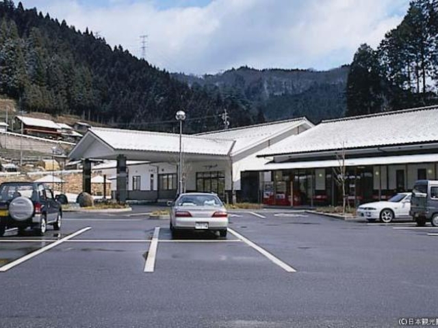 �e��������?���ǃp���Ƃ��