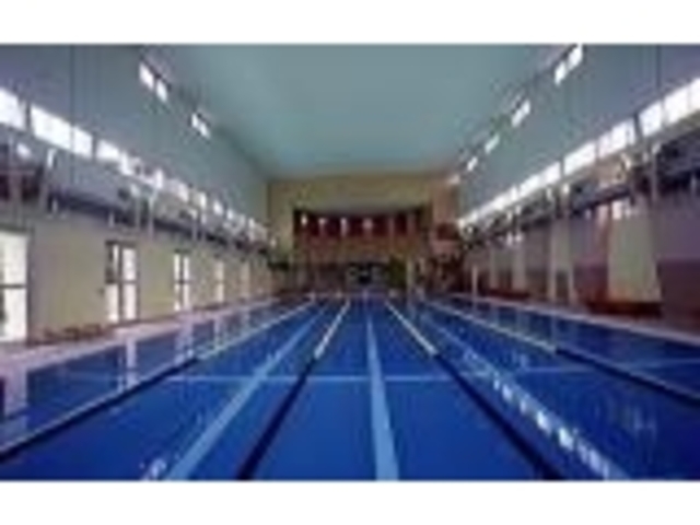 ����v�[��_���V������@�N�A�K�[�f�����̂�