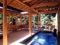 �e��������?���ǃp���Ƃ�˂̎ʐ^1