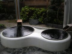 ���쉷��̎ʐ^1