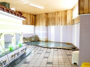 ��������̎ʐ^2