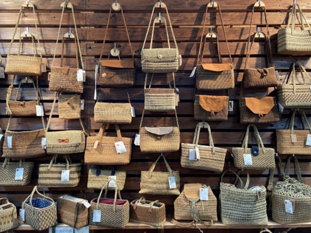 �O���������H�|��