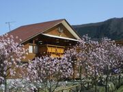 ���؂̐X�N���t�g�ق̎ʐ^2