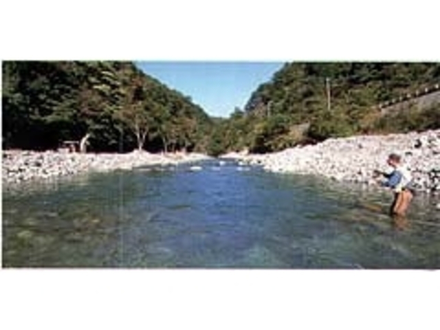 ���炽�񂴂�k���ޏ�̎ʐ^1