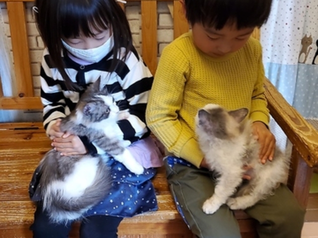 LG݂ƔLJtF̂X@L̎̎ʐ^1