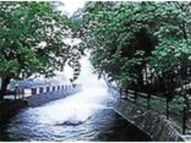 ����ƗV�����u�w��̓��v