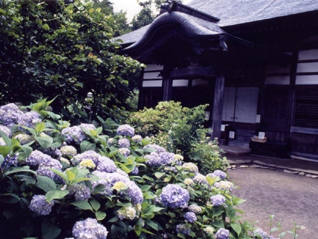 �הJ���̂��������̎ʐ^1