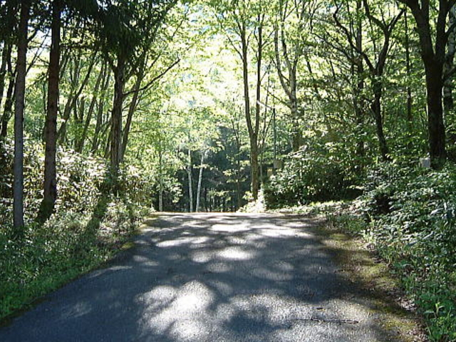 AiMiX����Base