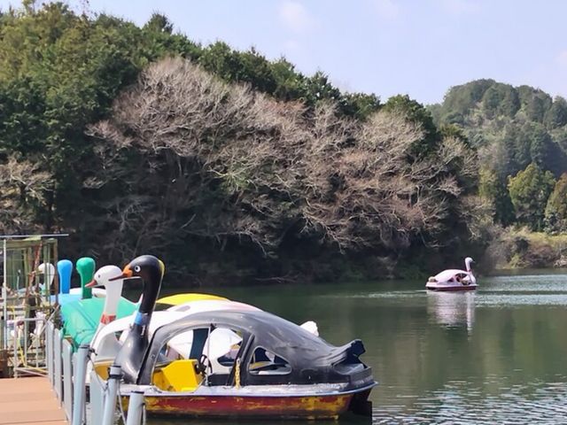 �y�_���{�[�g�ł̂�т�ƌ܌j�r���B_������r�ӂ邳�Ƒ�