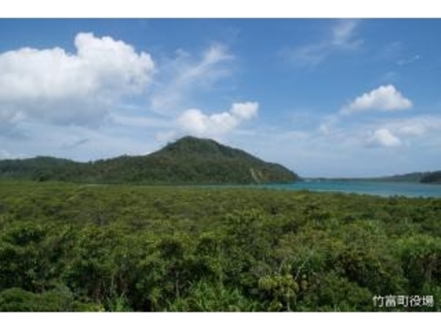 ���\���R�x�{��_���\���R�x�{��