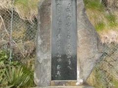 �����������̔�̎ʐ^1