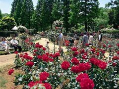 ��t�s�s�s�Ή��A�����̃o�����̎ʐ^1