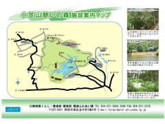 ���}�R�e�̐X�̎ʐ^