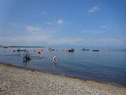 �����C������̎ʐ^1