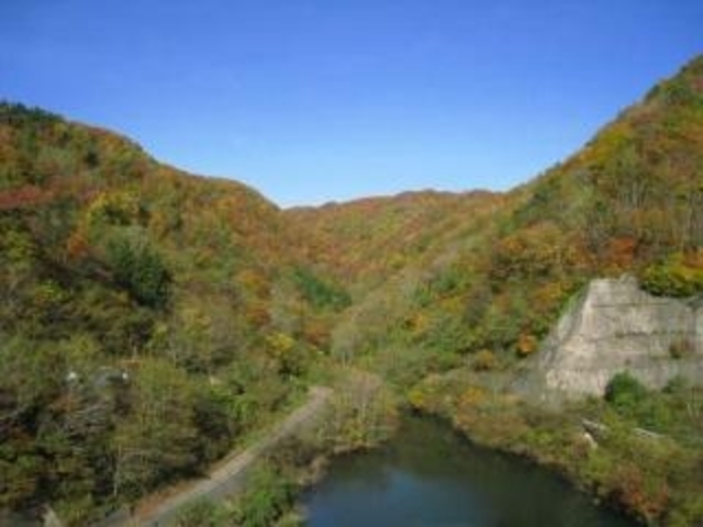 ���C��̍g�t�̎ʐ^1