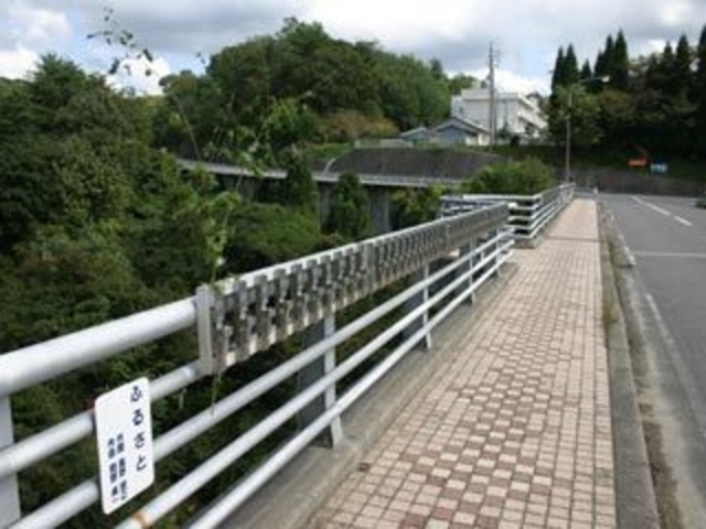 �����f�B�[��