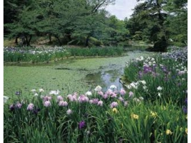 �I�ь����̏Ҋ�_�I�ь����̏Ҋ�