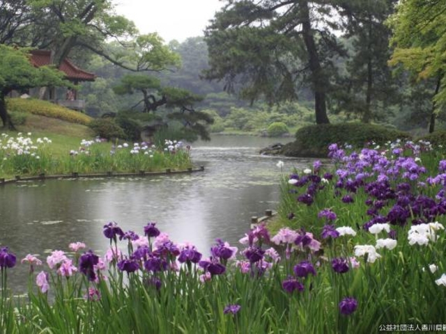 �I�ь����̏Ҋ�