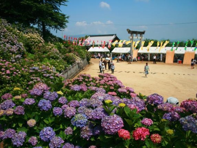 ����_�Ђ̃A�W�T�C