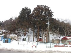 針田の子持杉の写真1