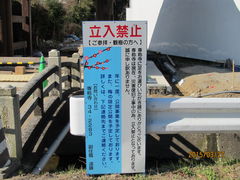 ��̎��̔~�̎ʐ^1