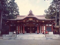 越木岩神社のヒメユズリハ群落の写真1