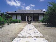 �V��t���̔��̎ʐ^1