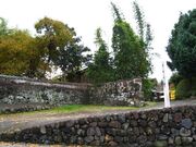 �v����Ղ̎ʐ^1